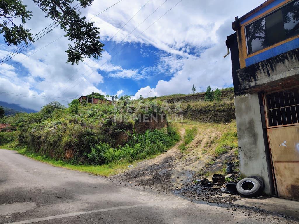 Terreno en venta · Cárdenas, Táchira — foto 3 de 5