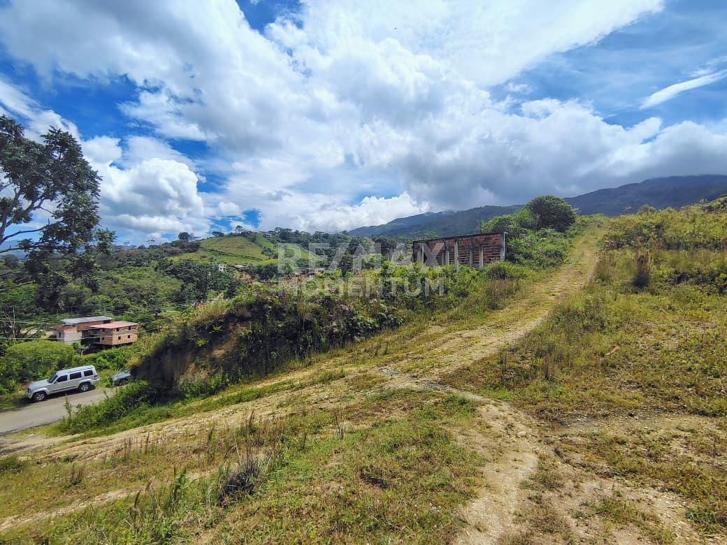 Terreno en venta · Cárdenas, Táchira — foto 4 de 5