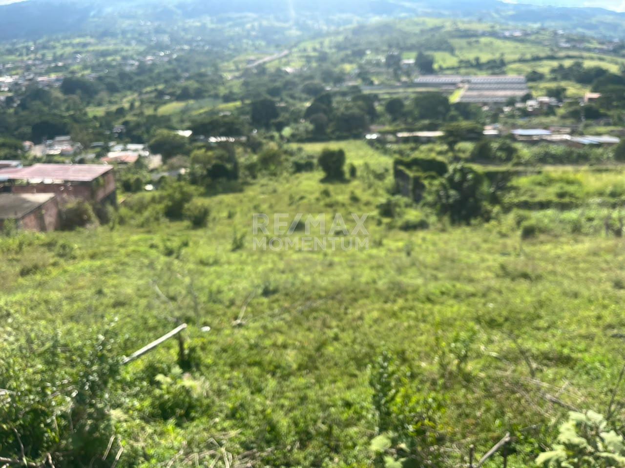 Terreno en venta · Independencia, Táchira — foto 9 de 10