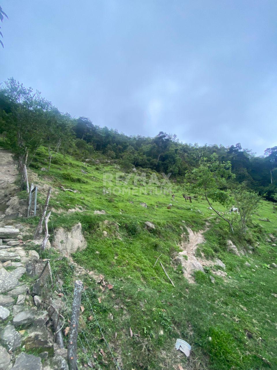 Terreno en venta · San Cristóbal, Táchira — foto 2 de 8