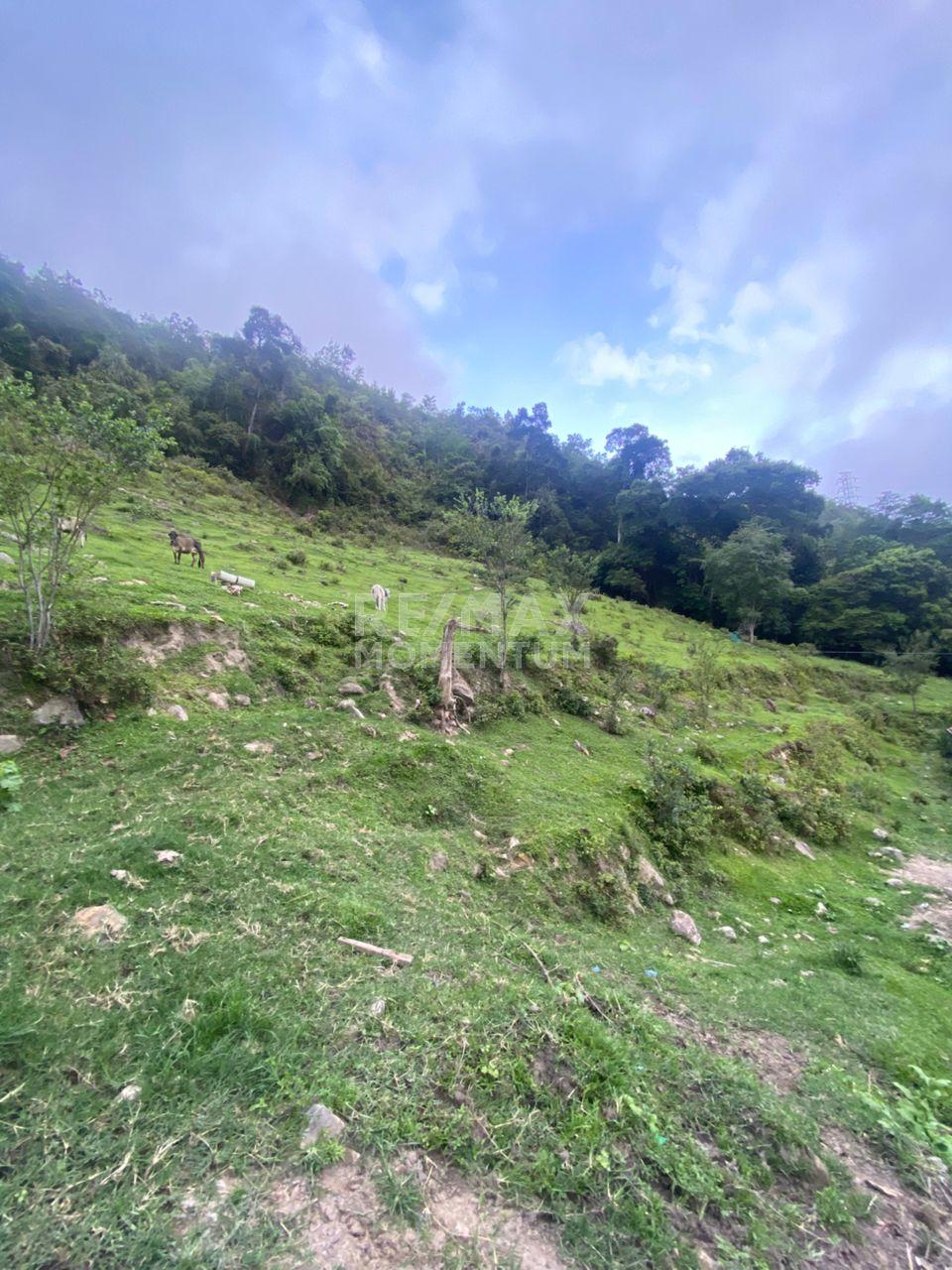 Terreno en venta · San Cristóbal, Táchira — foto 4 de 8