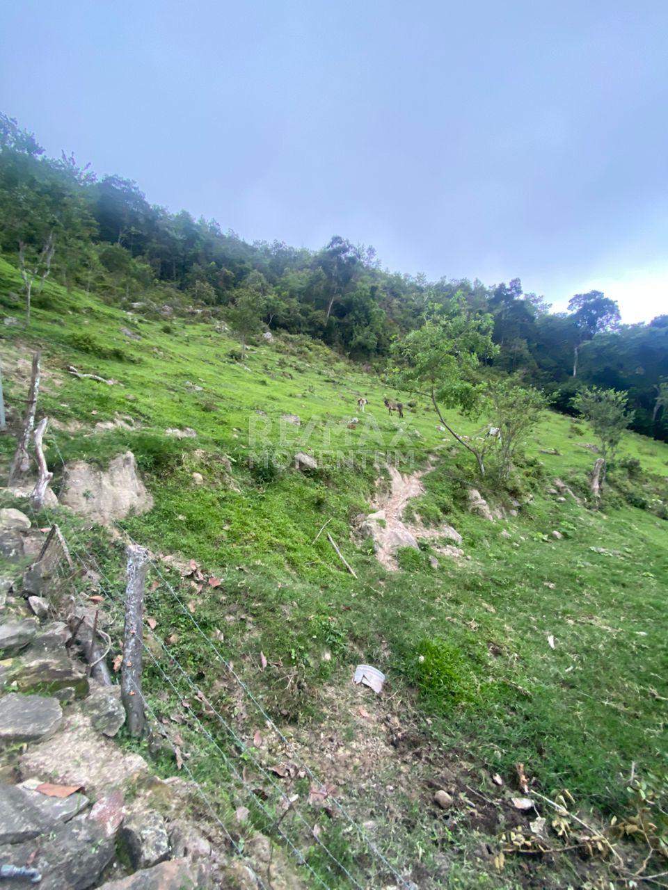 Terreno en venta · San Cristóbal, Táchira — foto 5 de 8