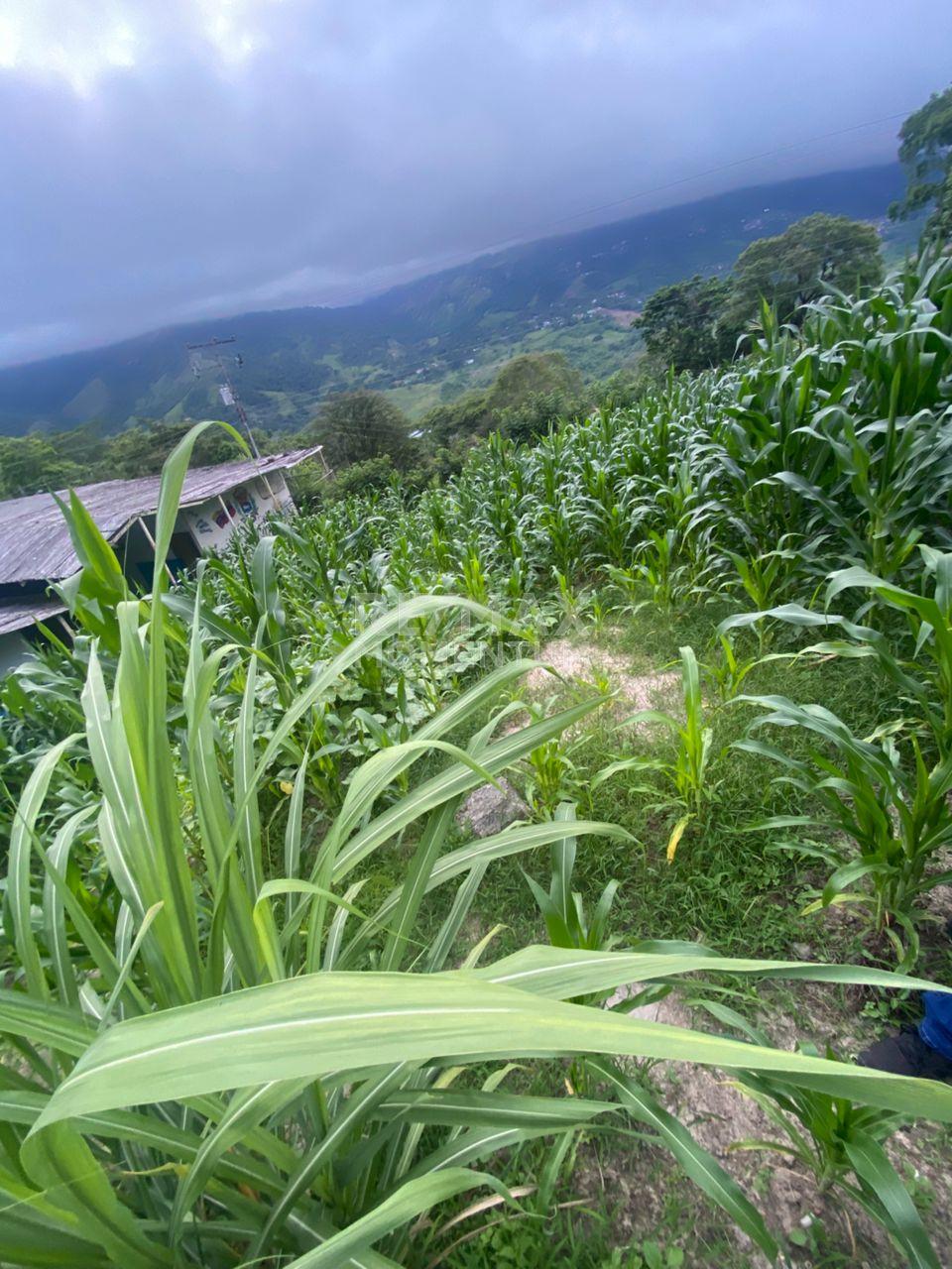 Terreno en venta · San Cristóbal, Táchira — foto 7 de 8