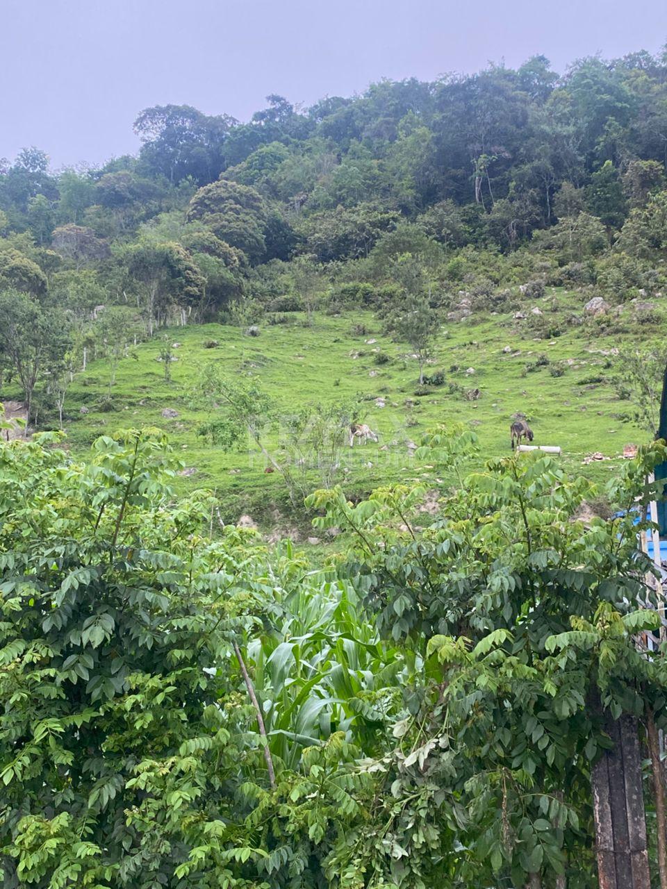 Terreno en venta · San Cristóbal, Táchira — foto 8 de 8