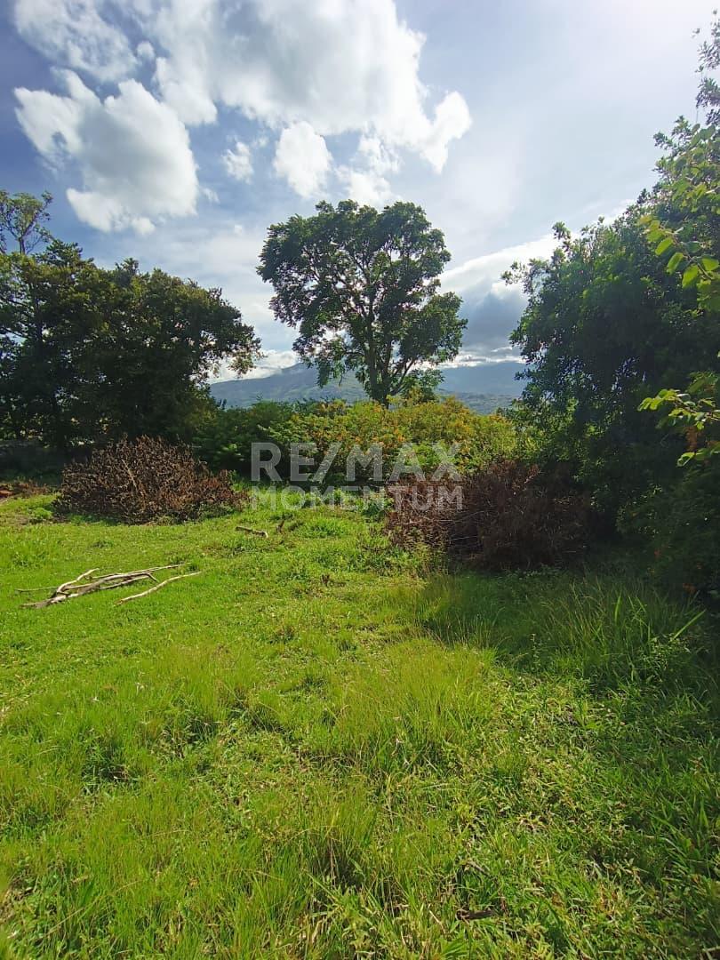 Terreno en venta · Independencia, Táchira — foto 7 de 9