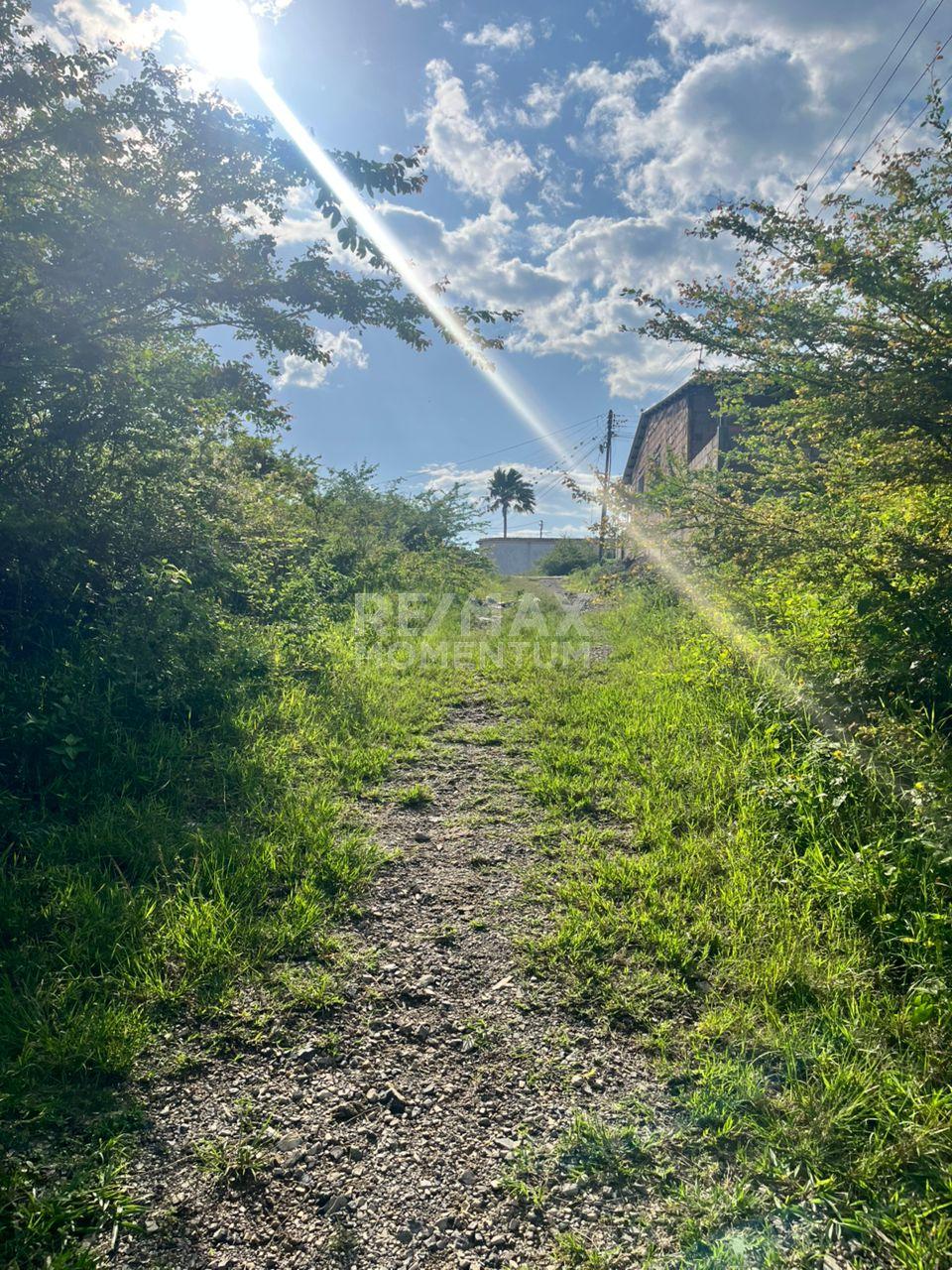 Terreno en venta · Cárdenas, Táchira — foto 6 de 9
