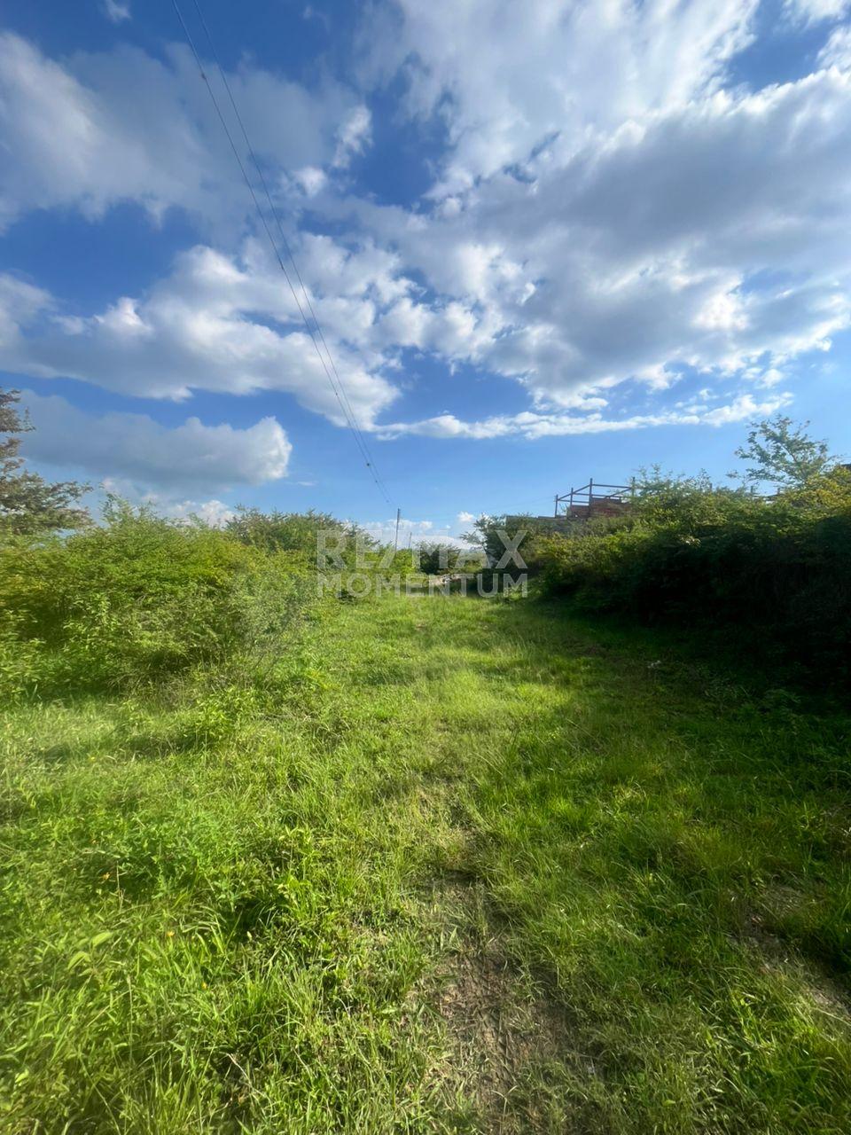 Terreno en venta · Cárdenas, Táchira — foto 8 de 9