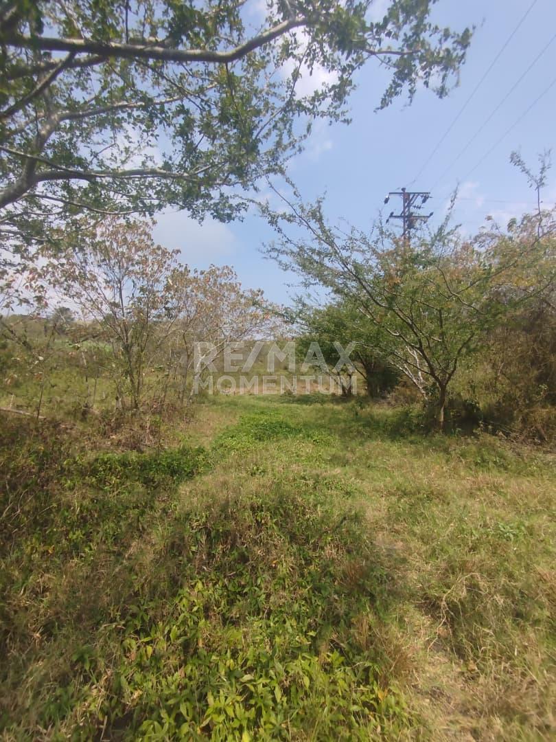 Terreno en venta · Guásimos, Táchira — foto 2 de 7