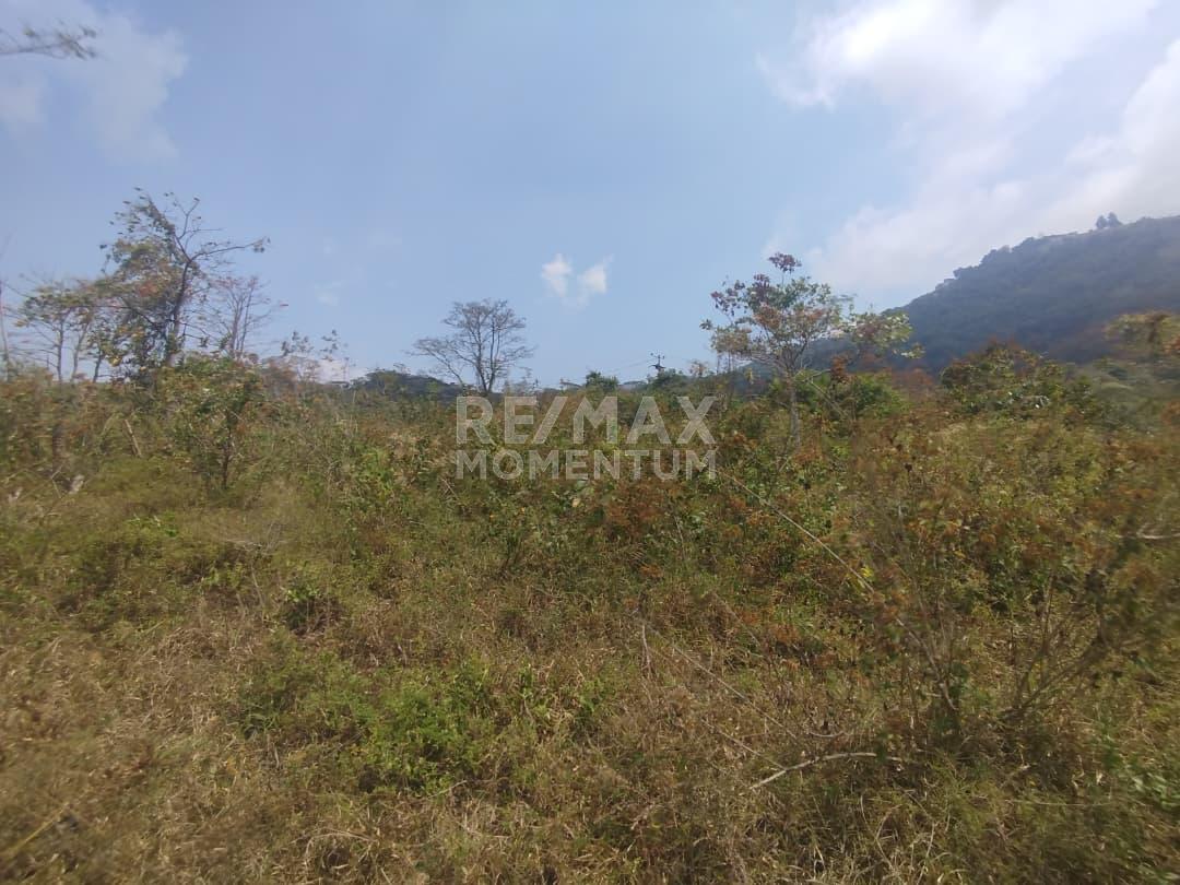 Terreno en venta · Guásimos, Táchira — foto 3 de 7