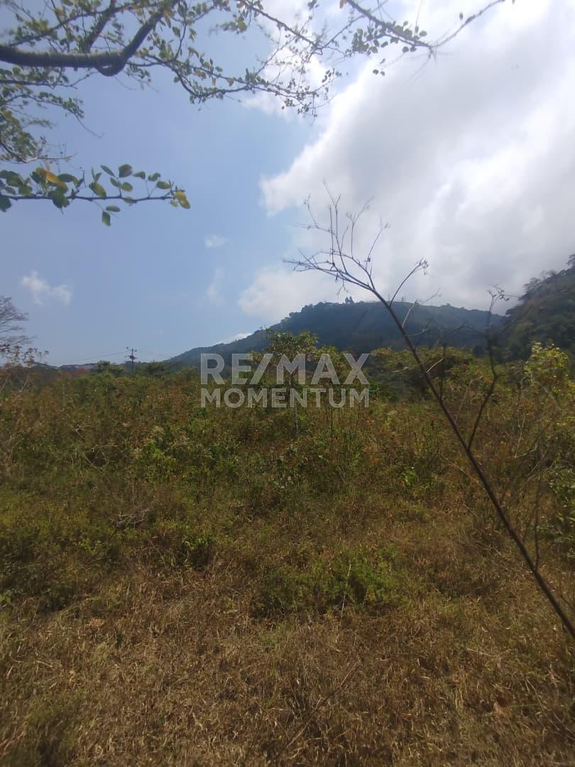 Terreno en venta · Guásimos, Táchira — foto 4 de 7
