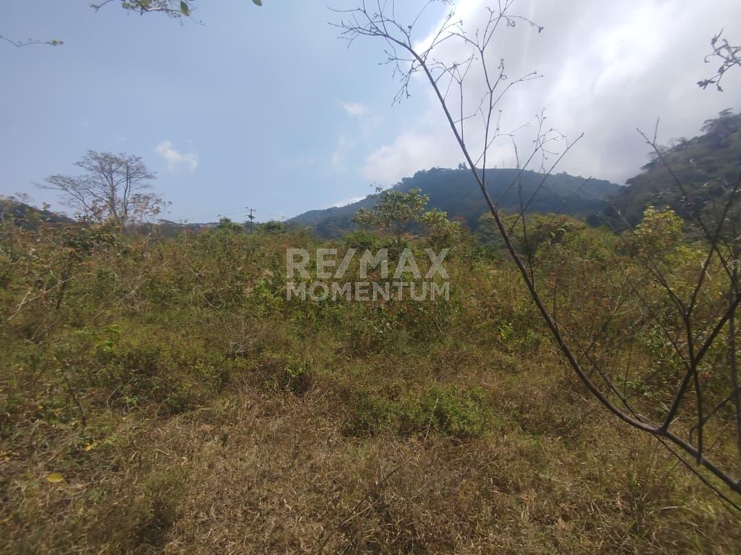 Terreno en venta · Guásimos, Táchira — foto 5 de 7