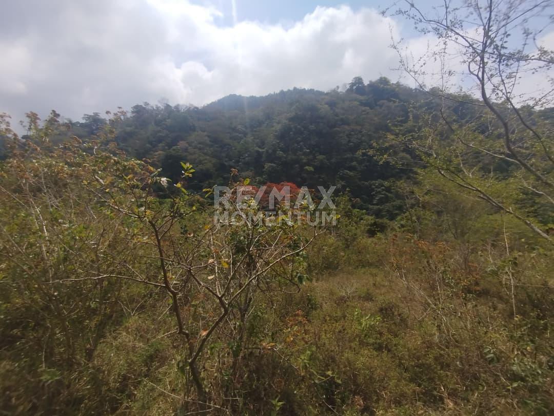 Terreno en venta · Guásimos, Táchira — foto 6 de 7