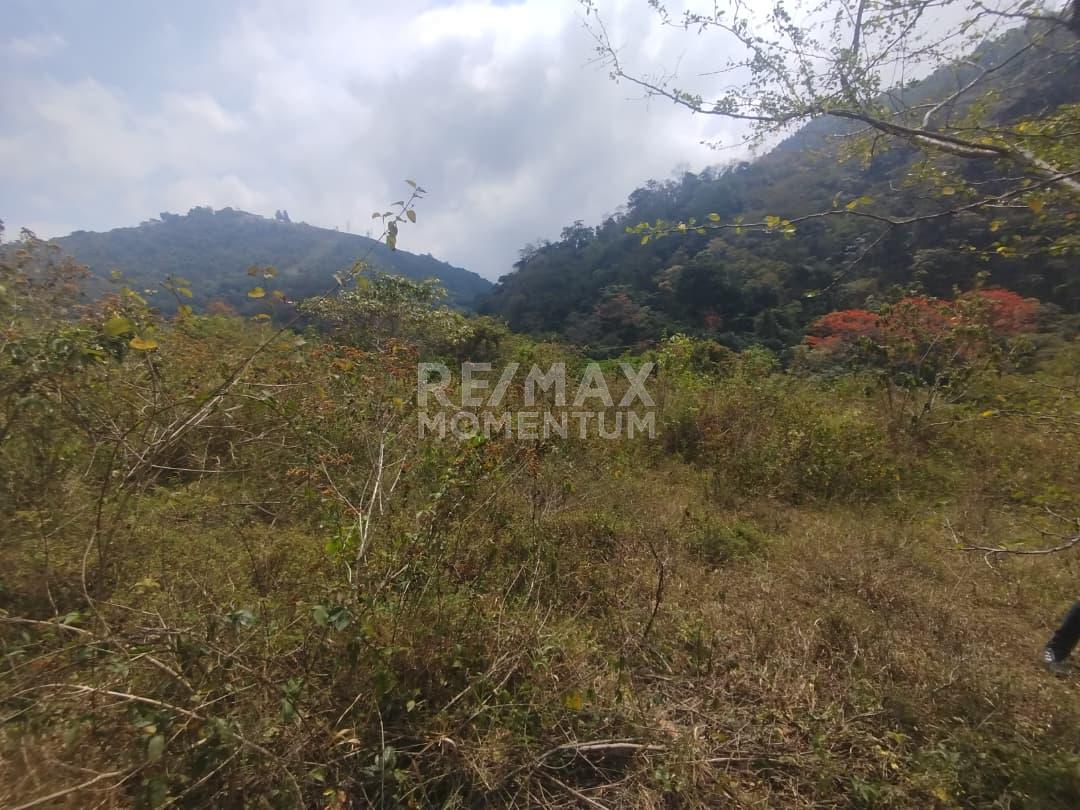 Terreno en venta · Guásimos, Táchira — foto 7 de 7